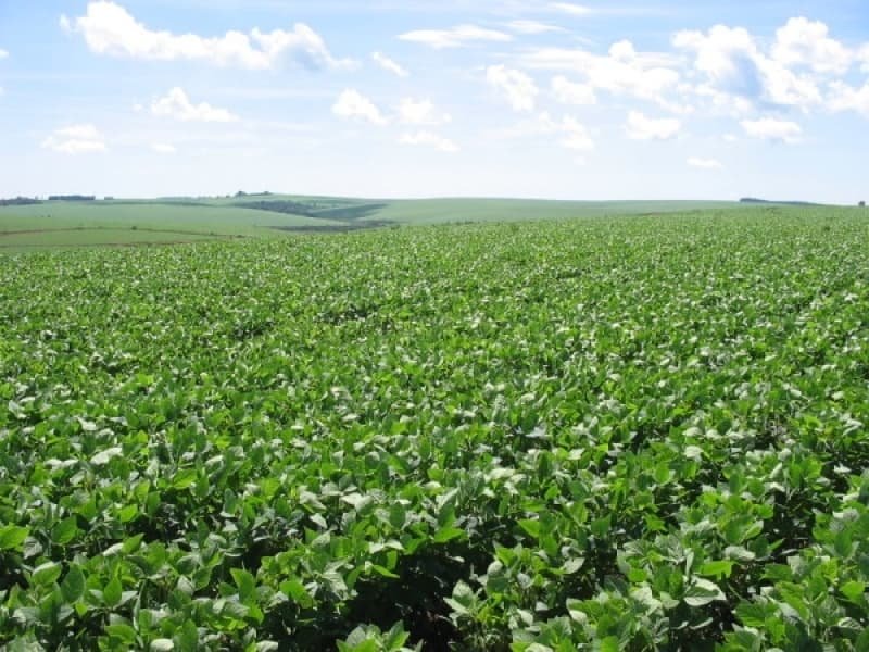 Como Ter Licenciamento Ambiental Atividades Agrícolas Engenheiro Goulart - Licenciamento Ambiental área de Preservação Permanente Como Ter Licenciamento Ambiental Atividades Agrícolas Engenheiro Goulart - Licenciamento Ambiental área de Preservação Permanente