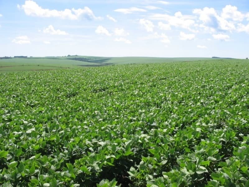 Como Ter Licenciamento Ambiental Atividades Agrícolas Perdizes - Licenciamento Ambiental de Mineração