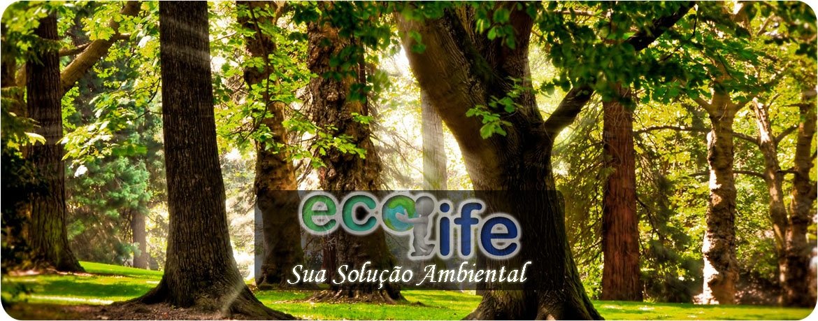 licenca-ambiental-cetesb-ecolifeambiental-banner1