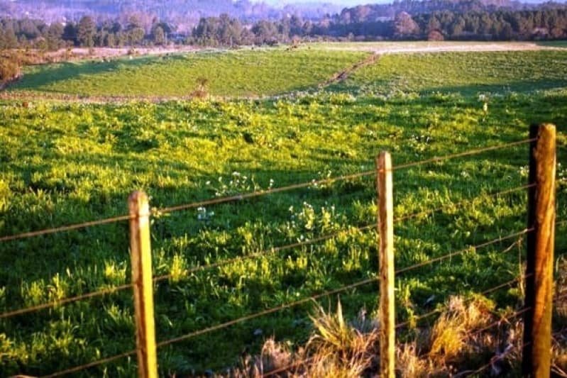 Licenciamento Ambiental Atividades Agrícolas Campinas - Licenciamento Ambiental de Mineração