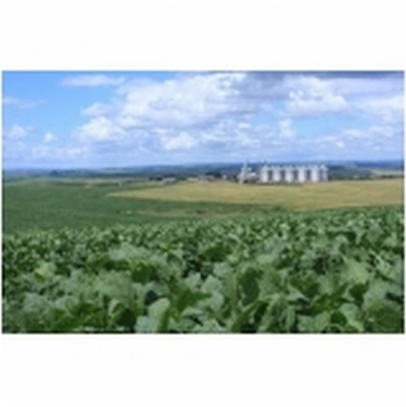 Licenciamentos Ambientais Municipal Campo Grande - Licenciamento Ambiental de Empresas Licenciamentos Ambientais Municipal Campo Grande - Licenciamento Ambiental de Empresas