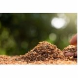 coleta de lixo contaminado empresa Cardeal