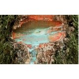 investigação de passivo ambiental cetesb Rio Bonito