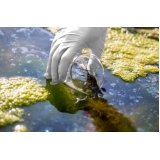 investigação de passivo ambiental e remediação valor Vila Suzana