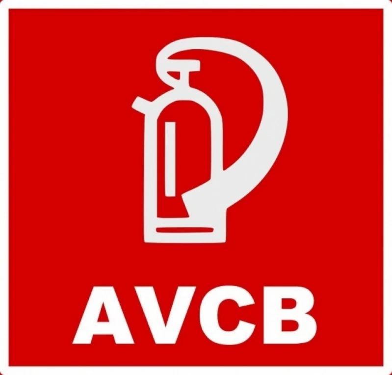 laudo de avcb
